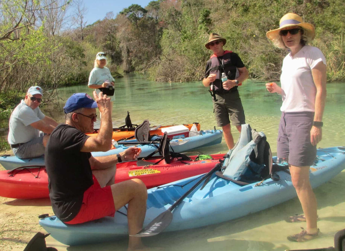 Group of people kayaking
