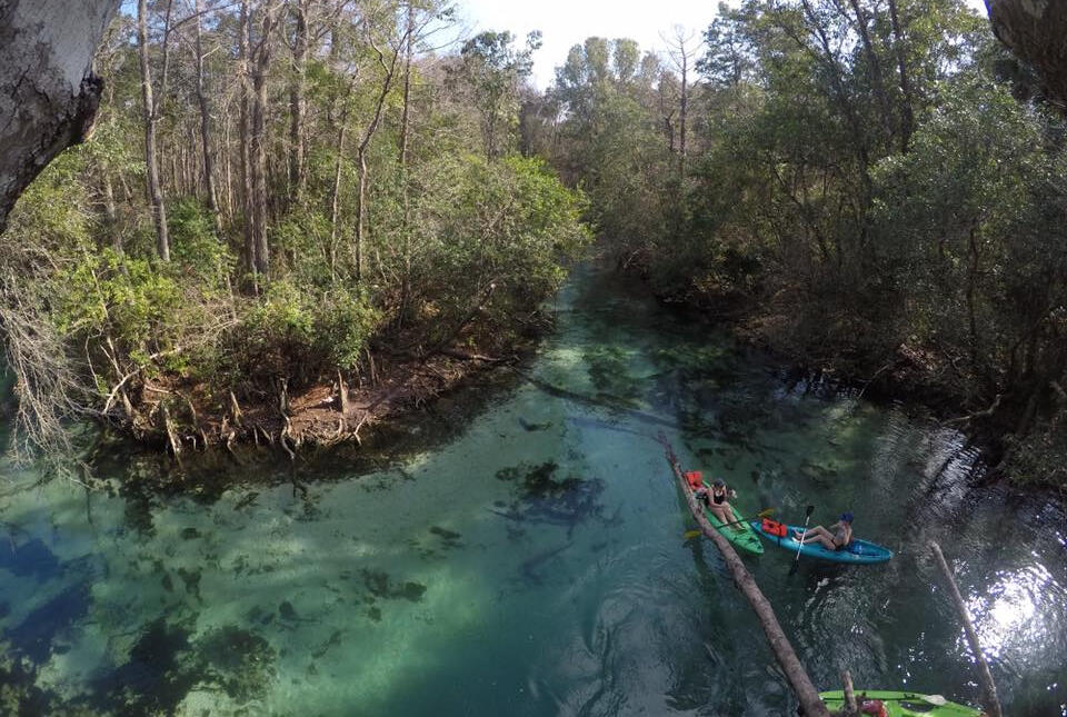 Birds eye view of weeki wachee river