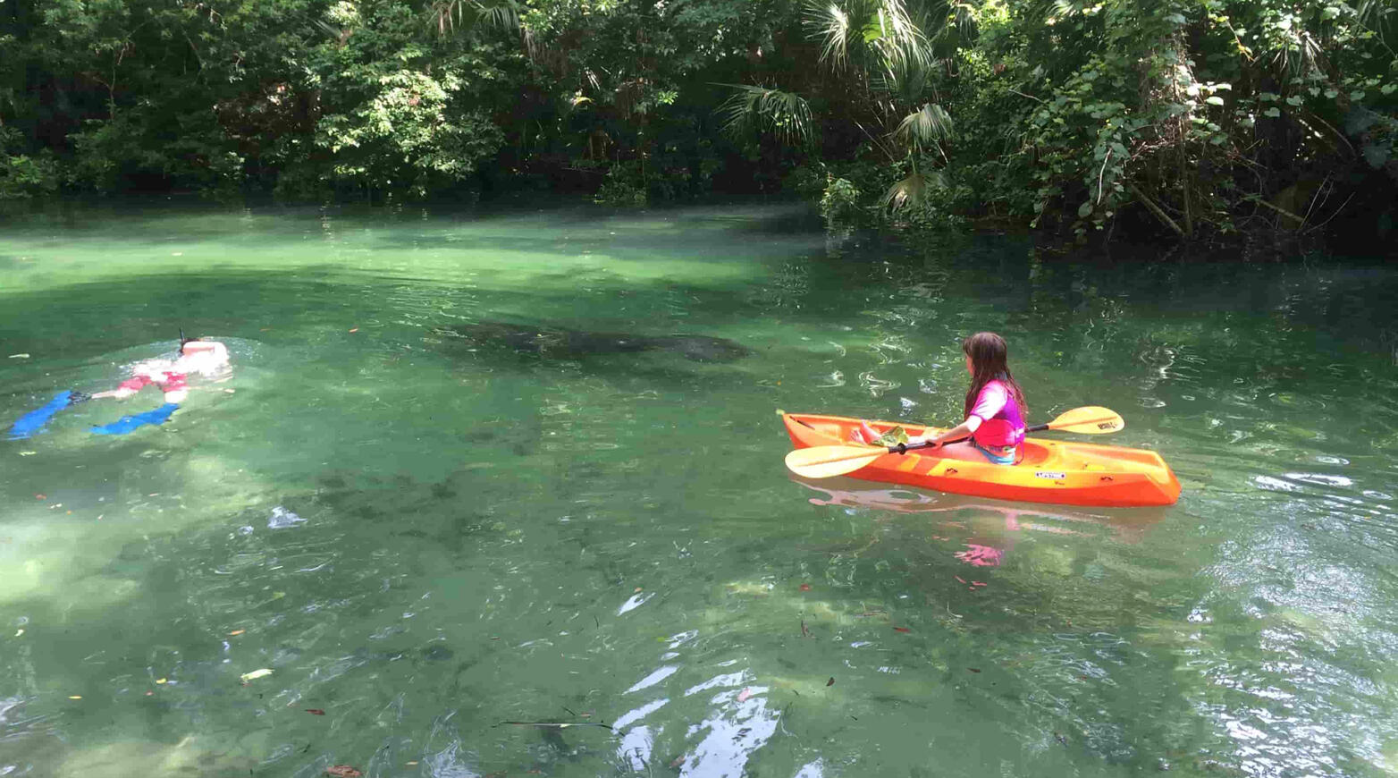 Kids kayak by manatee
